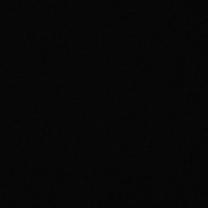 Meet your Posher, Abigail